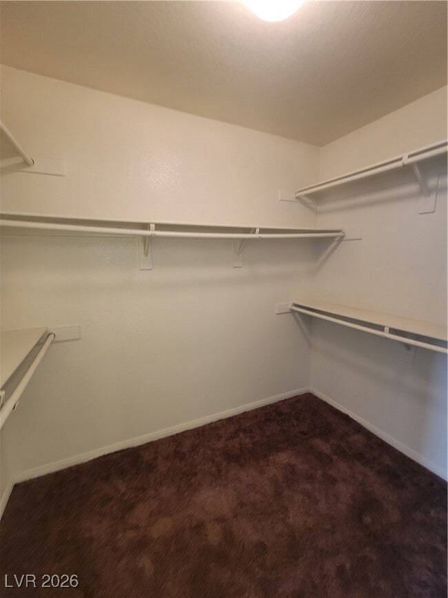 Building Photo - 10957 Calistoga Springs Ct