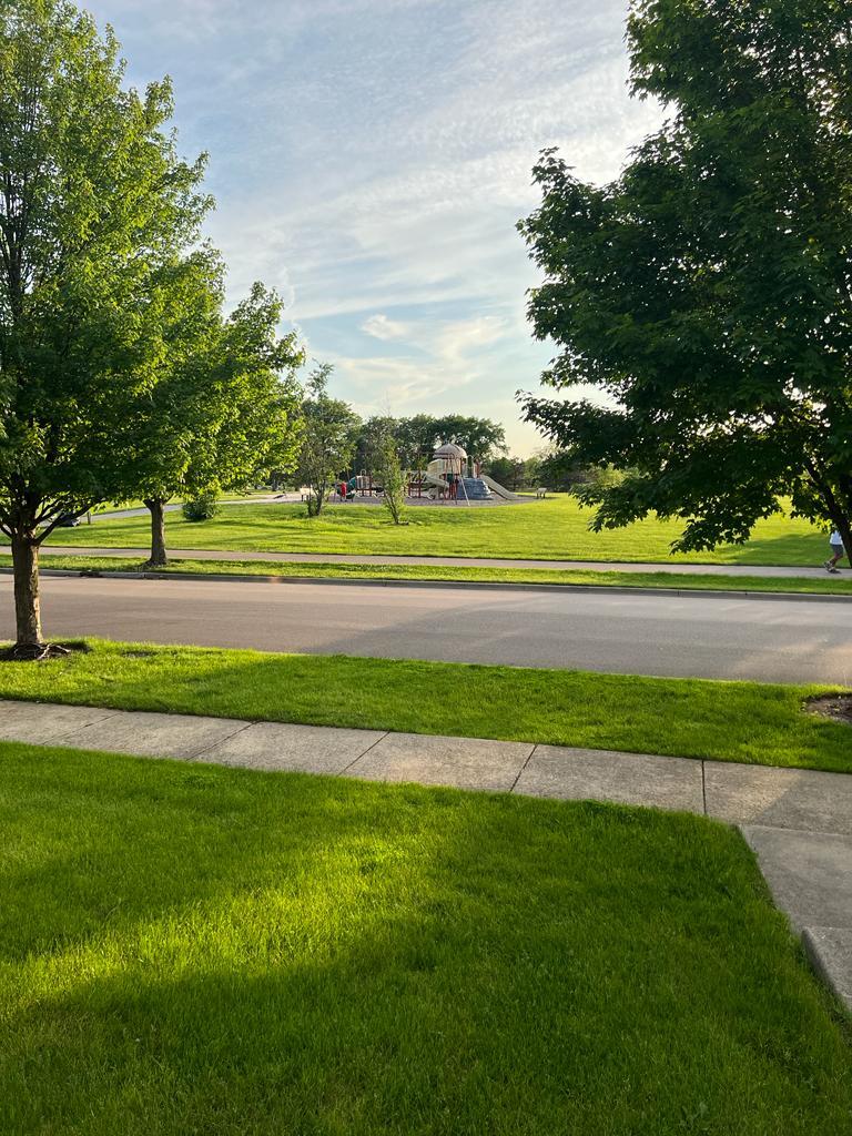 View from the front door - Harbor Springs Park - 1850 Middlebury Dr