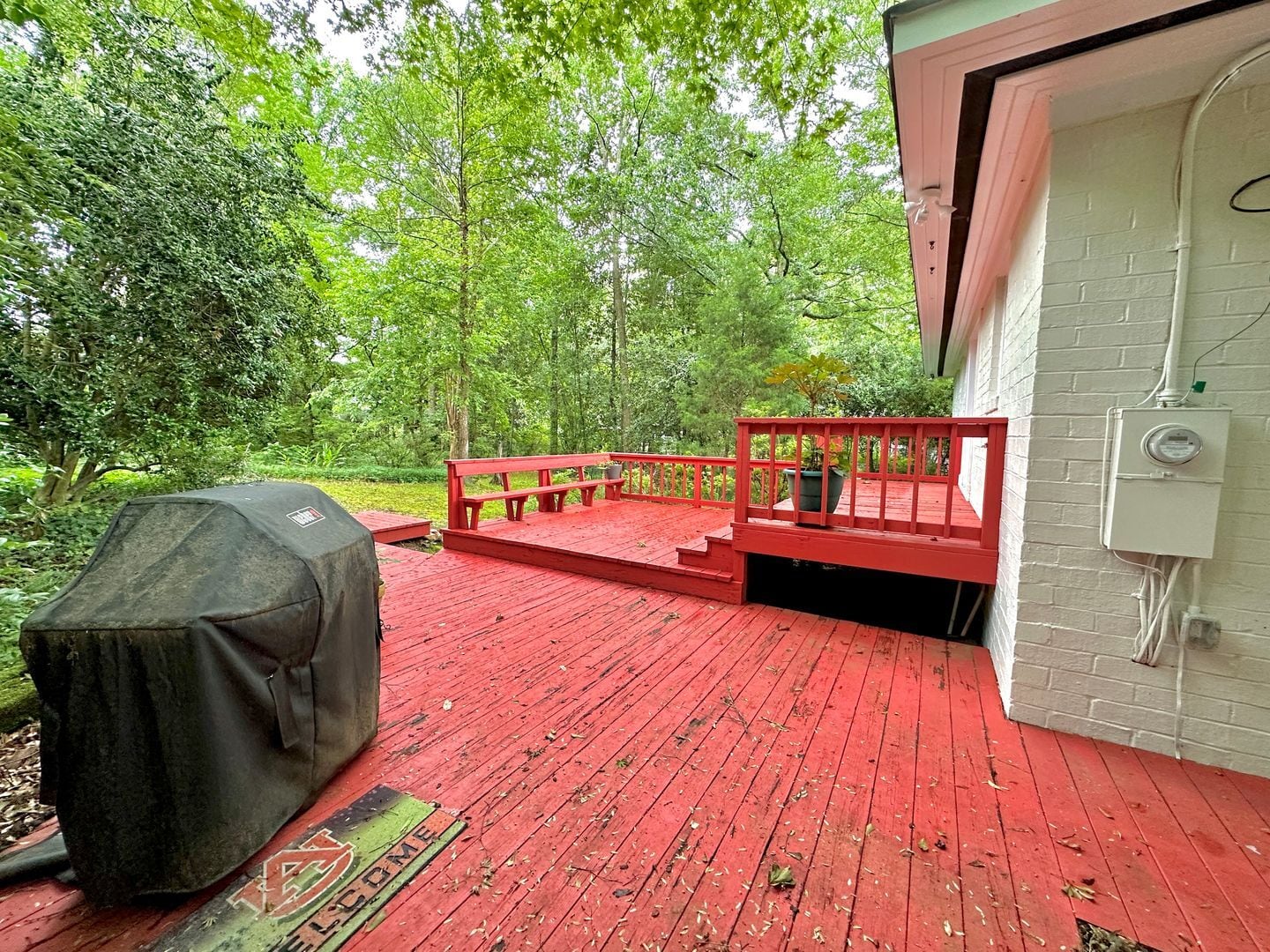 Building Photo - Super Cute Cottage 1 mile from Toomers Corner