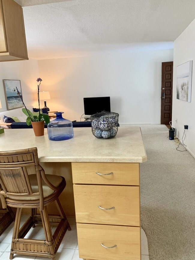 Building Photo - 205 S Banana River Blvd