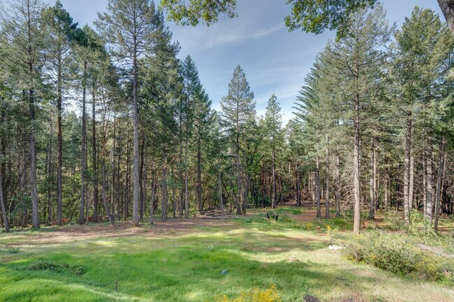 Building Photo - Updated Georgetown Home on 5 Acres with Huge Deck!