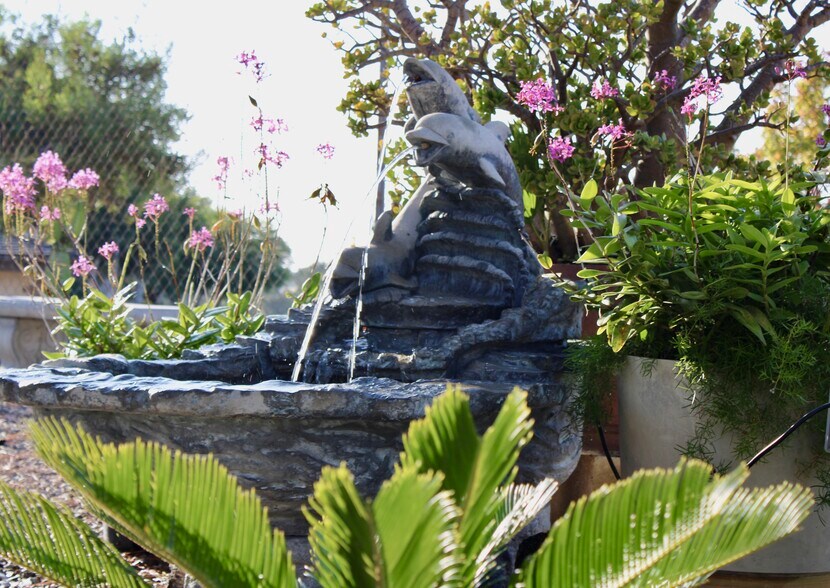 Fountain - 2414 Sonora Ct