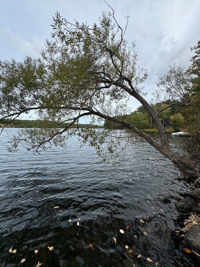 Building Photo - 3 Pond Rd