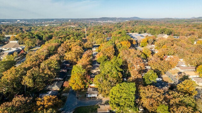 Building Photo - Midtown 3BR Near UAMS w/ Hardwoods, W/D, & Fenced Yard