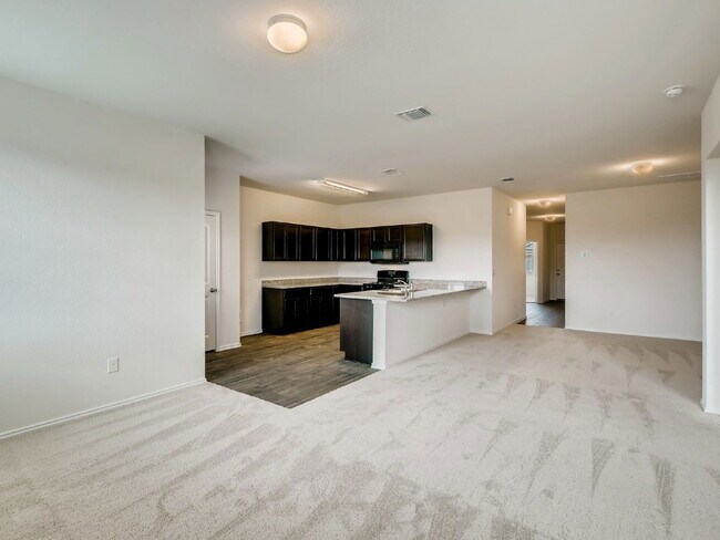 Building Photo - 3705 Canaan Matthew Dr