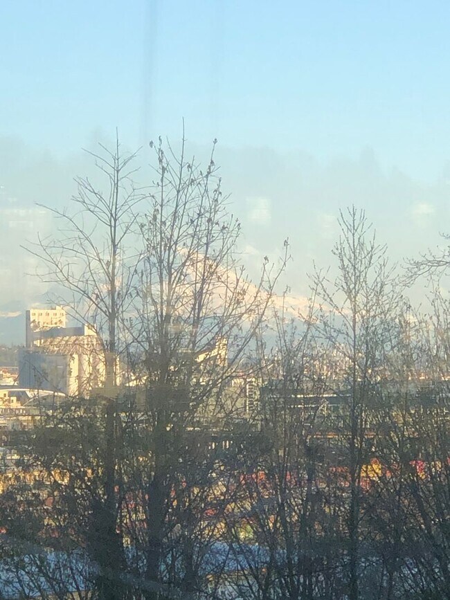 Interior Photo - Magnolia Court