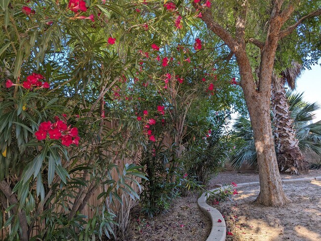 Building Photo - Cornell