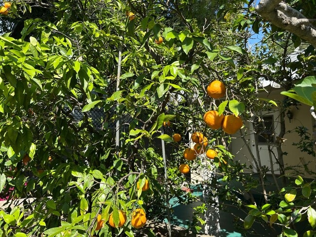 Building Photo - Rare Nostalgic Vintage 2Bedroom Home