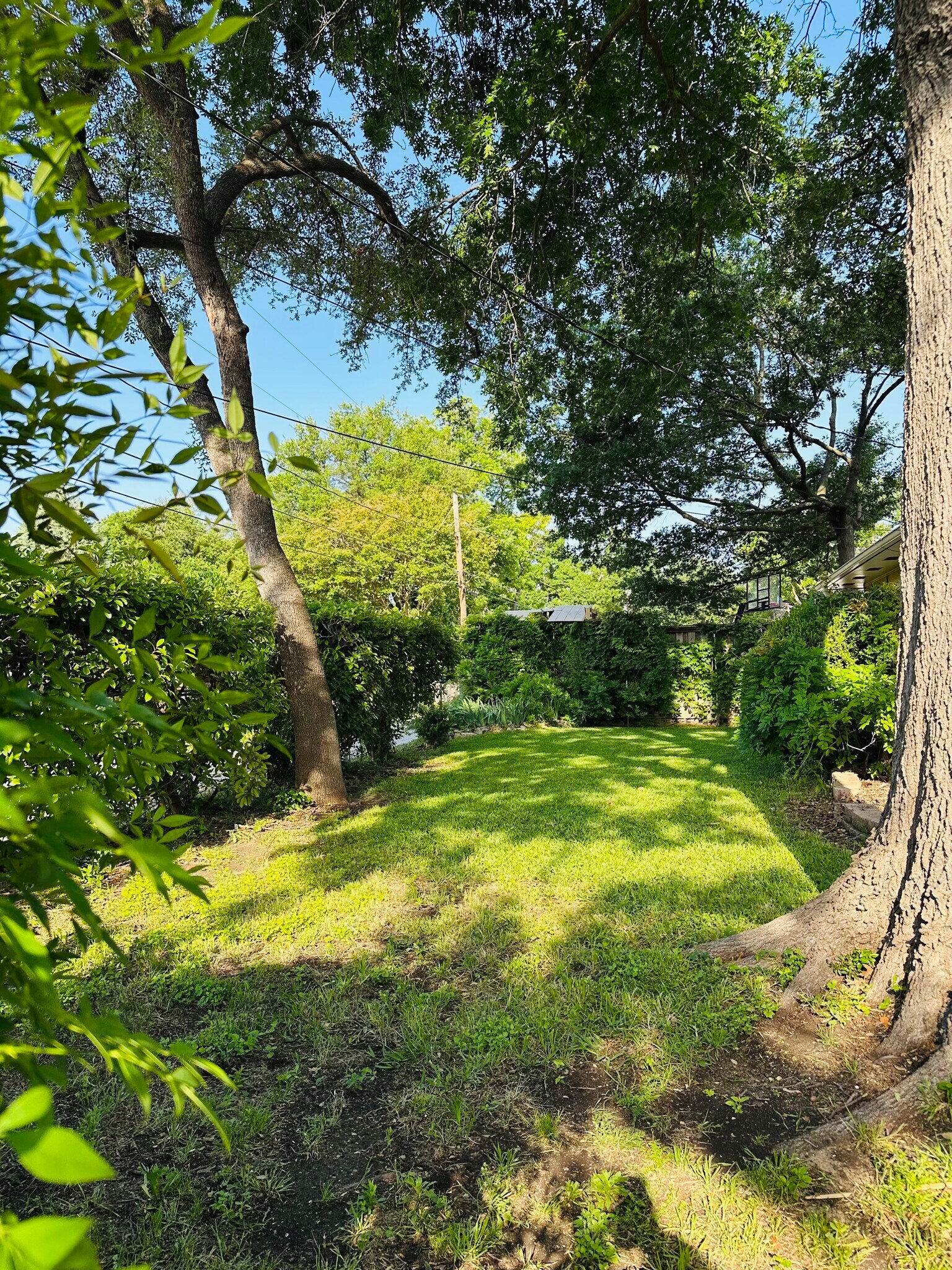 Building Photo - 619 Twilight Trl