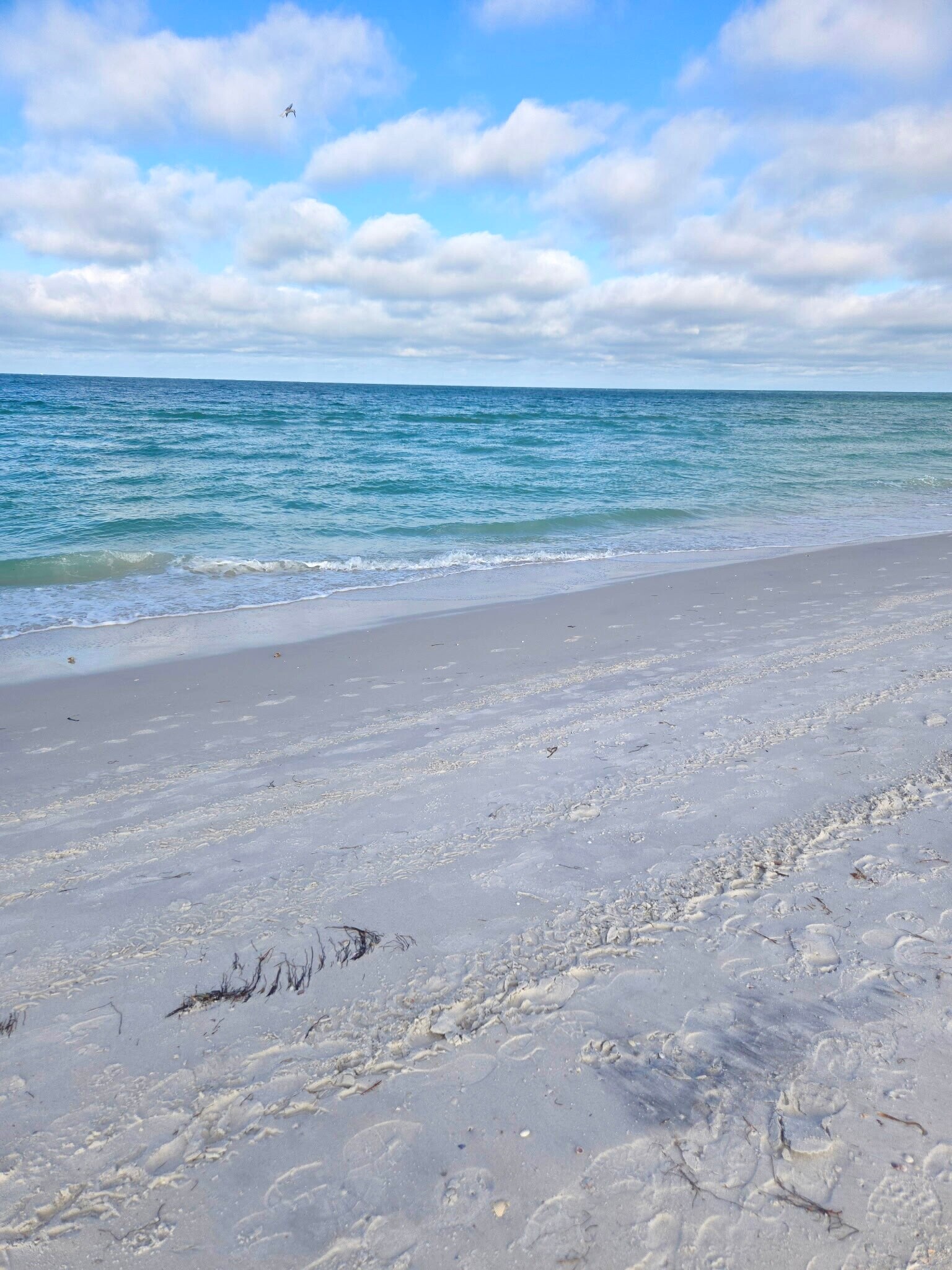 Building Photo - 877 Bruce Ave