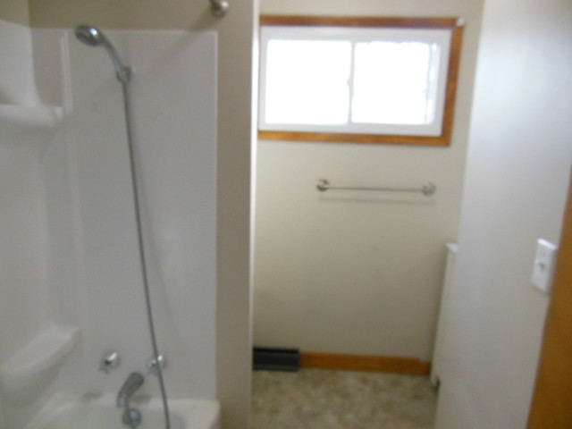 1st Floor Bath - 1727 Dill St