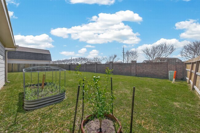 Building Photo - 6546 Grapevine Bend