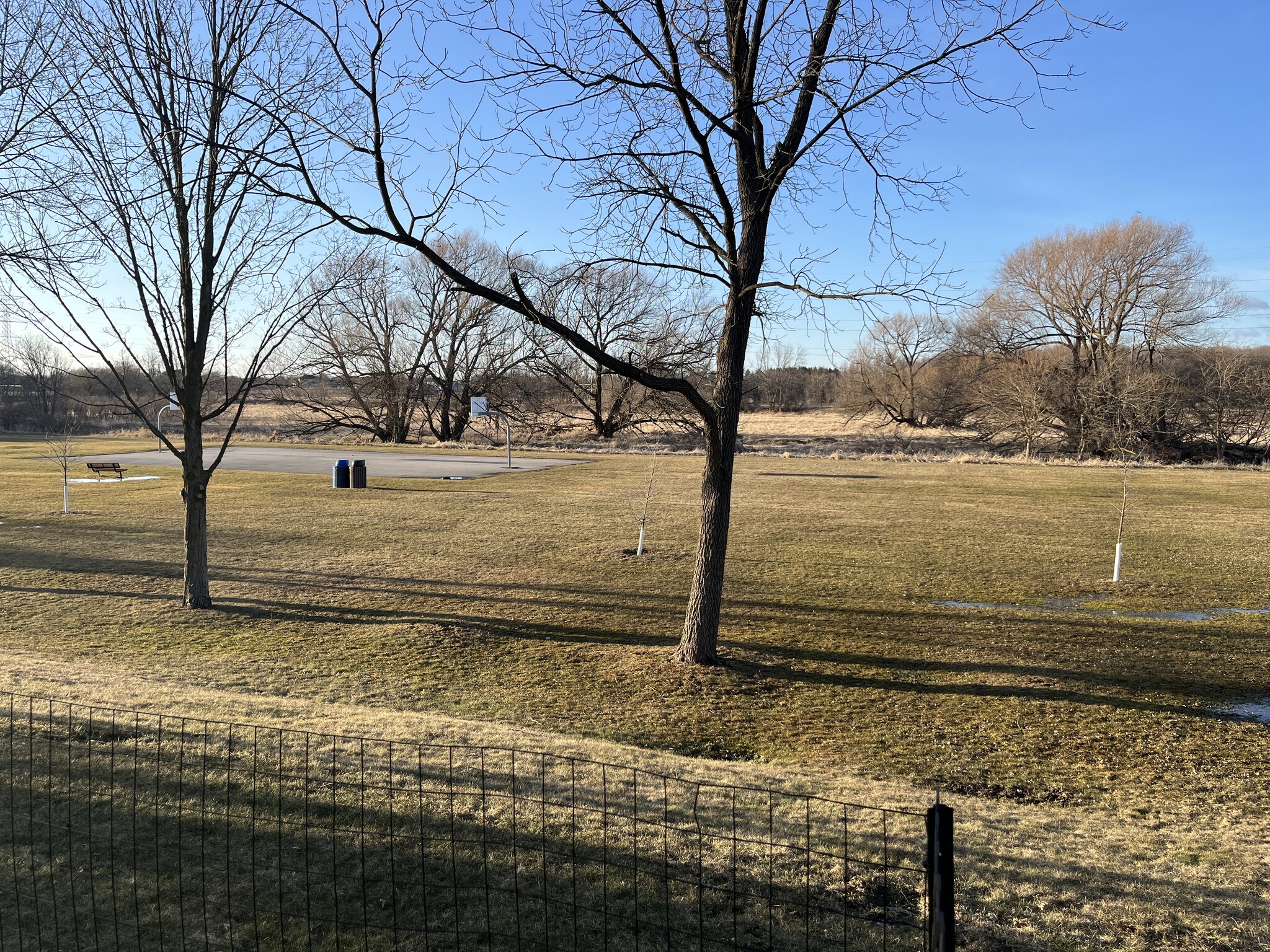 Backyard/Park - W245N6688 Bowling Green Ct