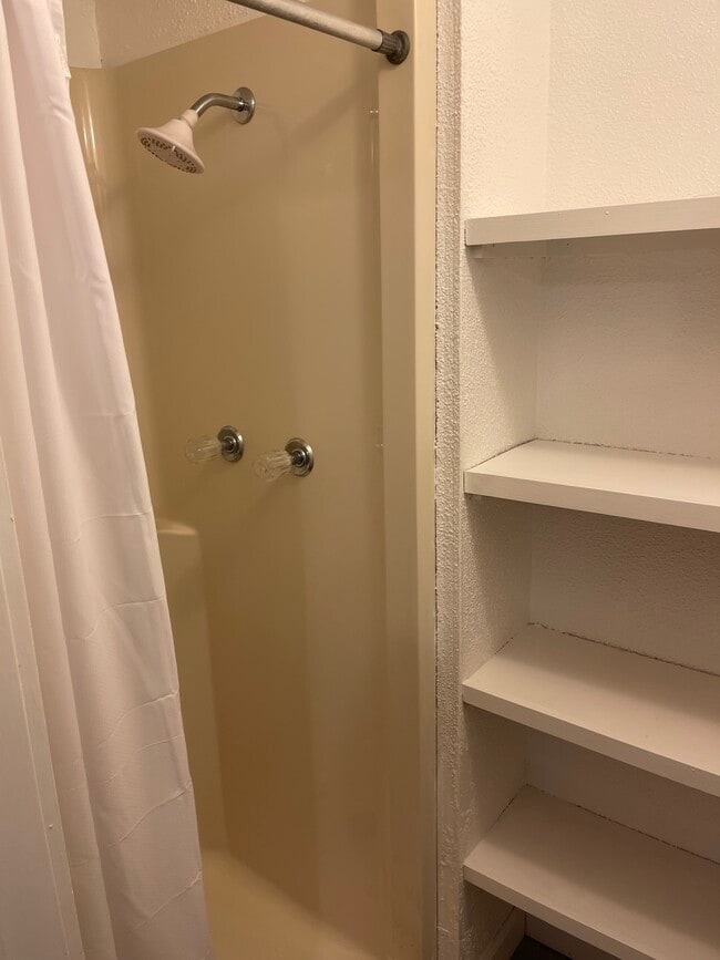 Shower - 127 Spruce St