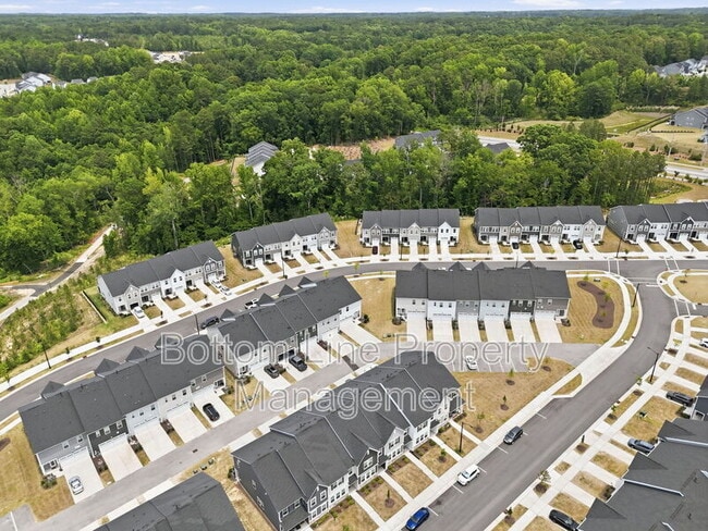 Building Photo - 1529 Foal Run Trl