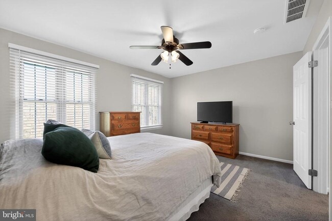 Building Photo - 4906 Catamaran Ct