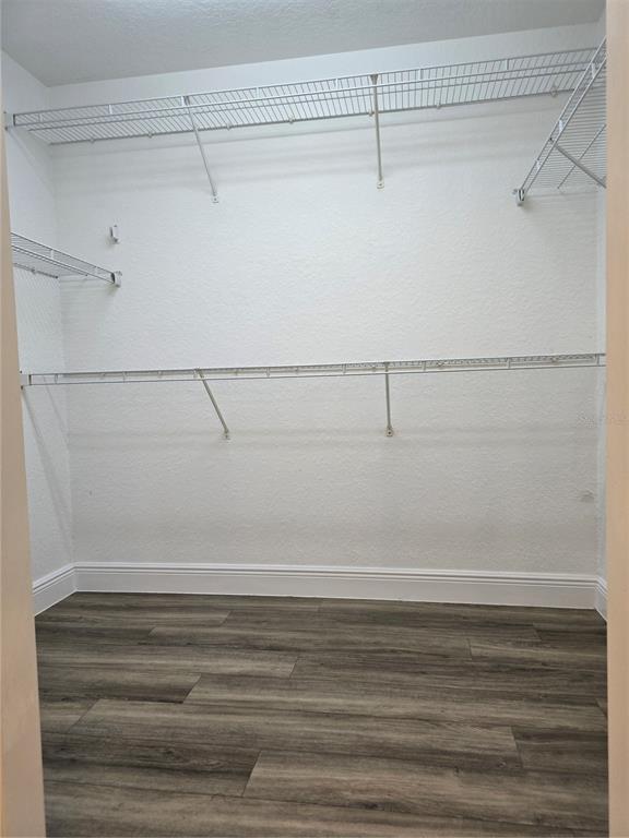 Building Photo - 2525 San Tecla St