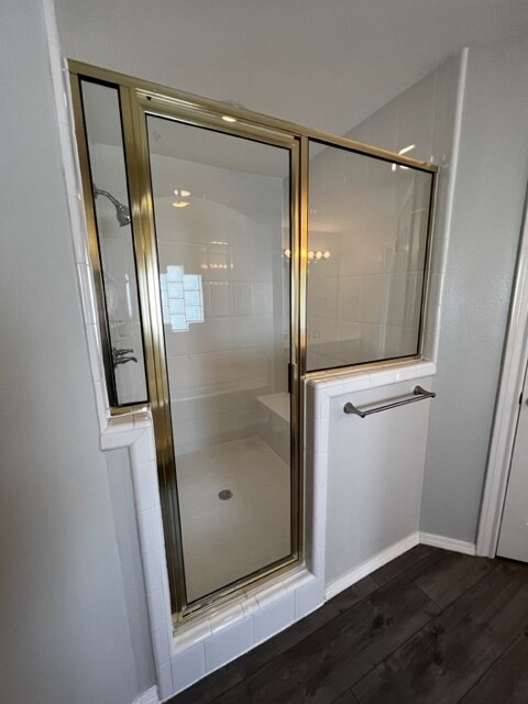 Master Shower - 201 San Saba St