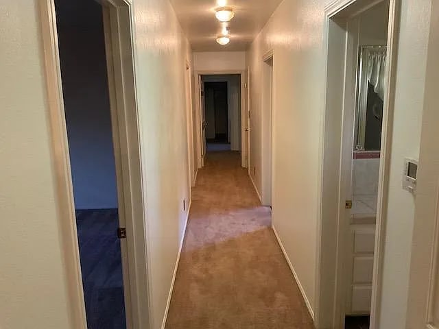 Hall - 8265 Elizabeth Lake Rd