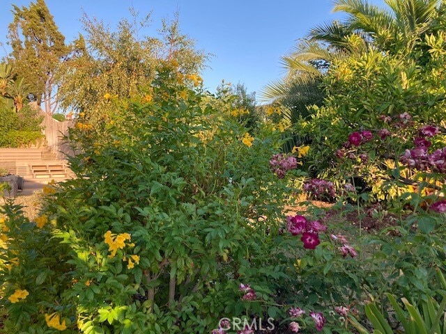 Building Photo - 25262 Via Piedra Roja