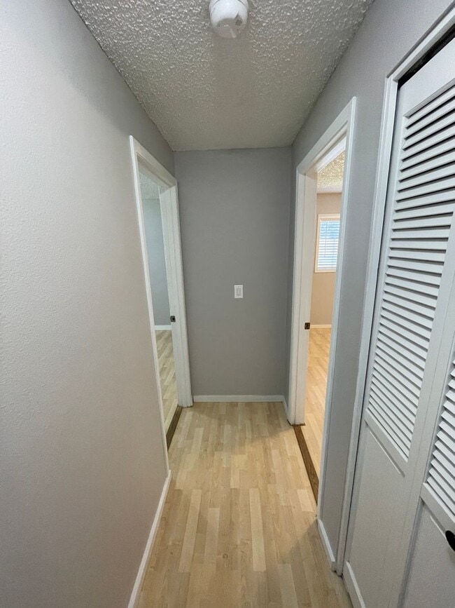 Building Photo - Hard to find 3 bedroom 2, bathroom.