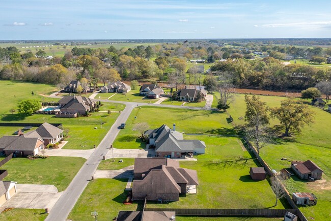 Building Photo - Welcome to Live Oak Circle!