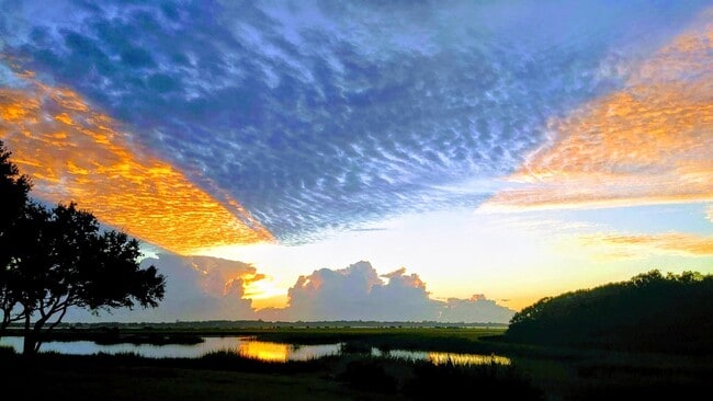 Building Photo - 31 Aledo Ct