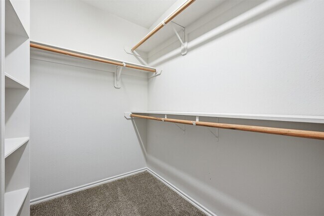 Building Photo - 6058 Shelbourne Park Ln