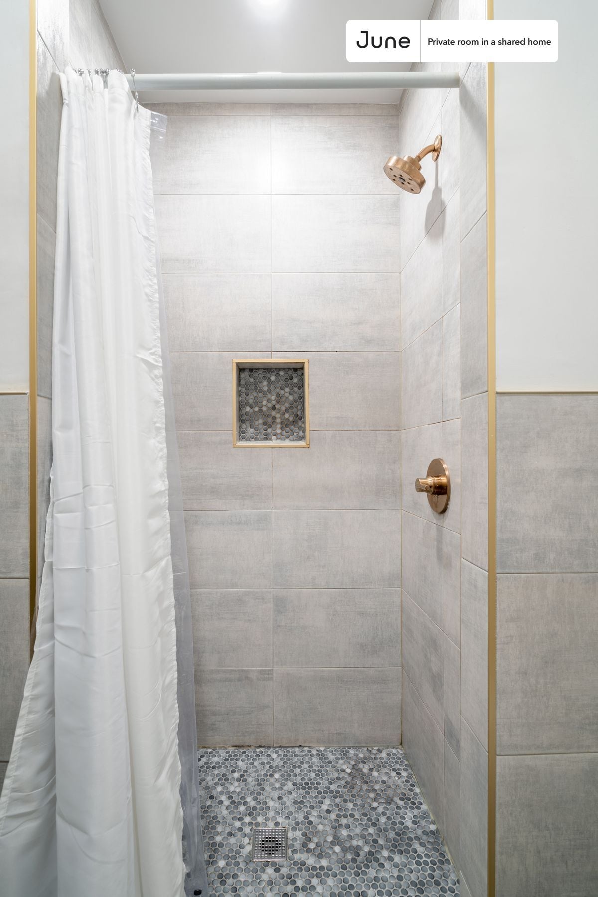 Building Photo - Room in Shared 4 bed/2 bath home