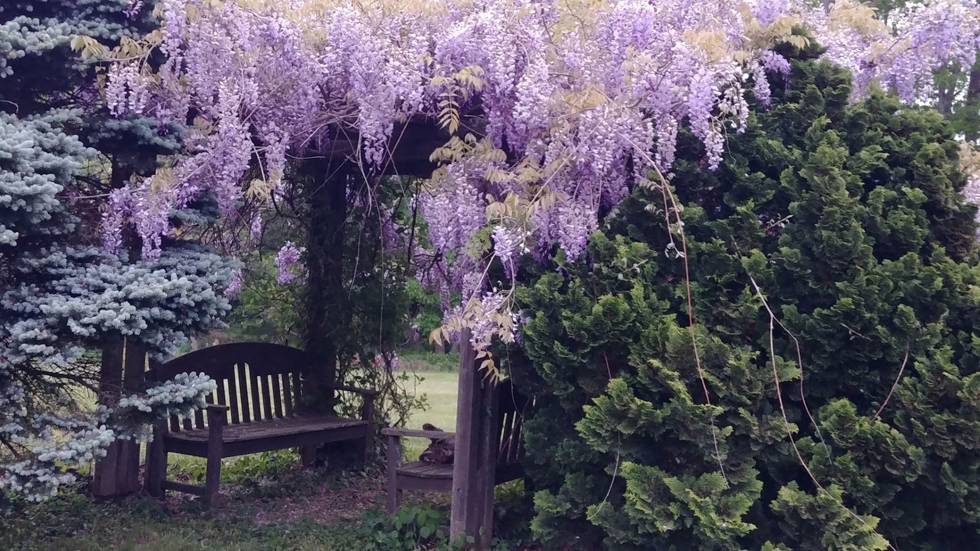 Building Photo - 43 Ocean Dr