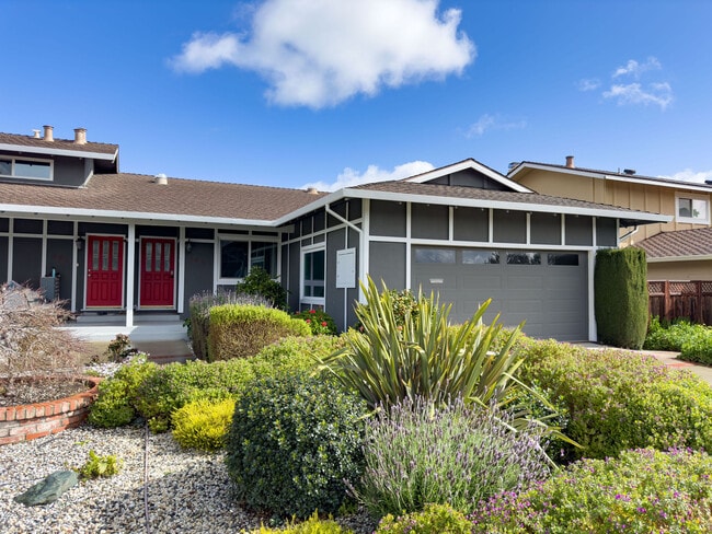 Building Photo - 685 Comet Dr