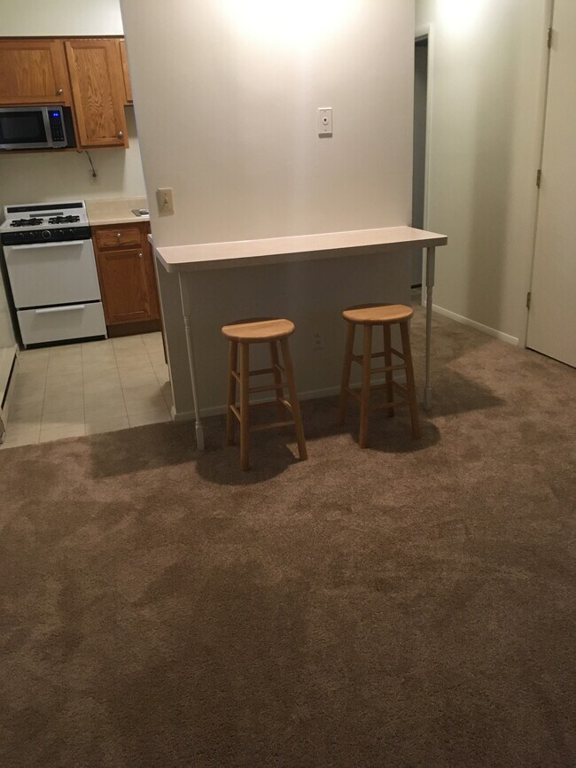 Living room, and kitchen - 213 Lindell Dr