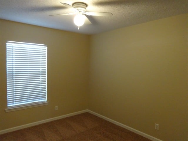 Building Photo - 3 Mallorys Ct