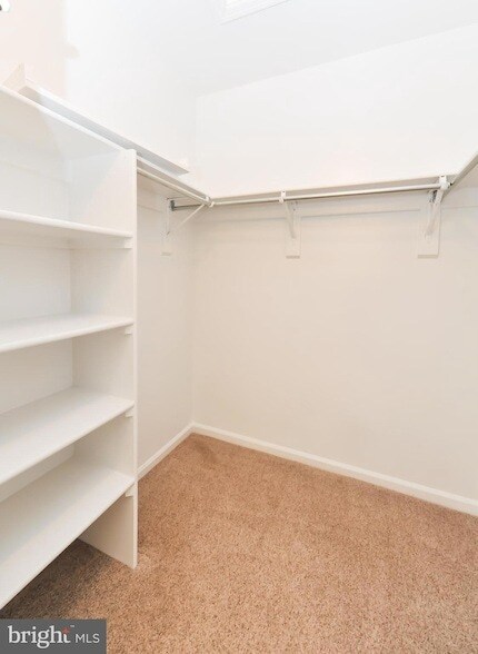Building Photo - 2810 Yarling Ct