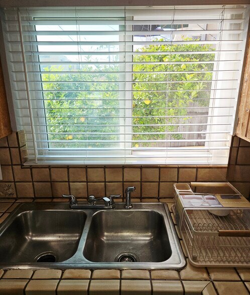 Lemon Tree POV from the kitchen window. - 934 S Myers St