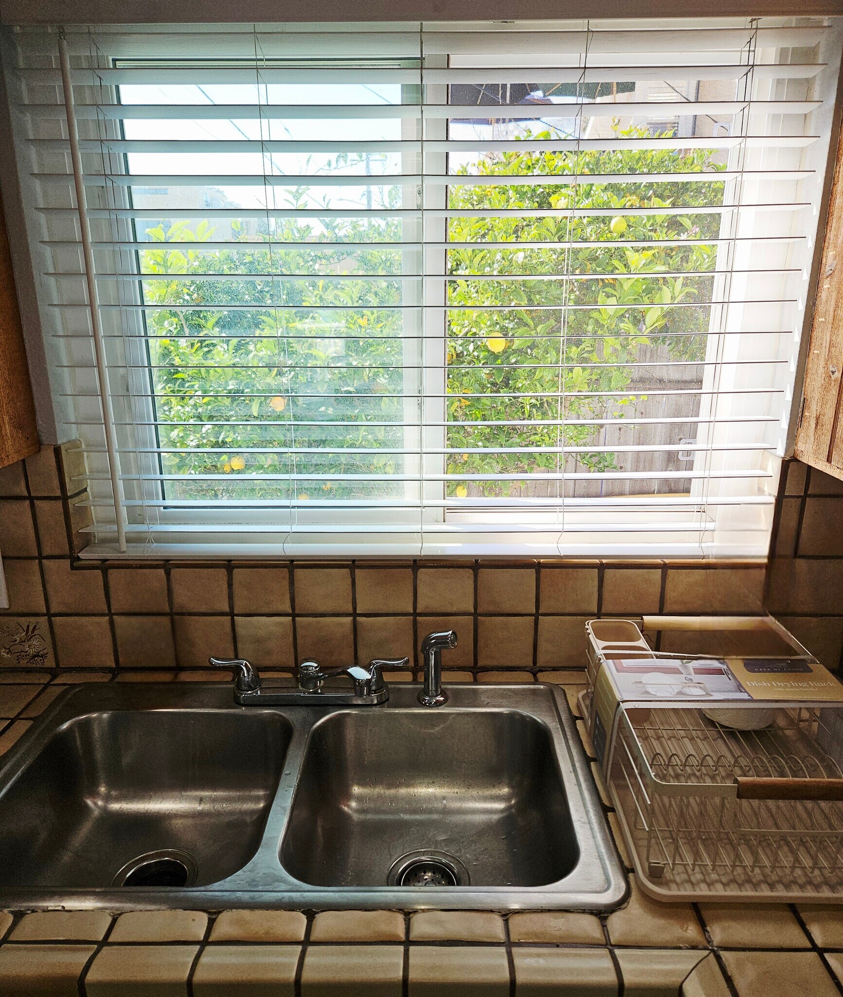 Lemon Tree POV from the kitchen window. - 934 S Myers St