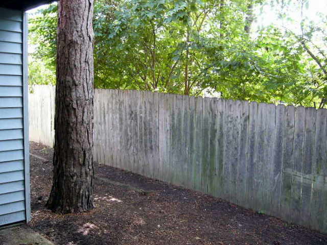 Building Photo - 9064 W Swan Cir