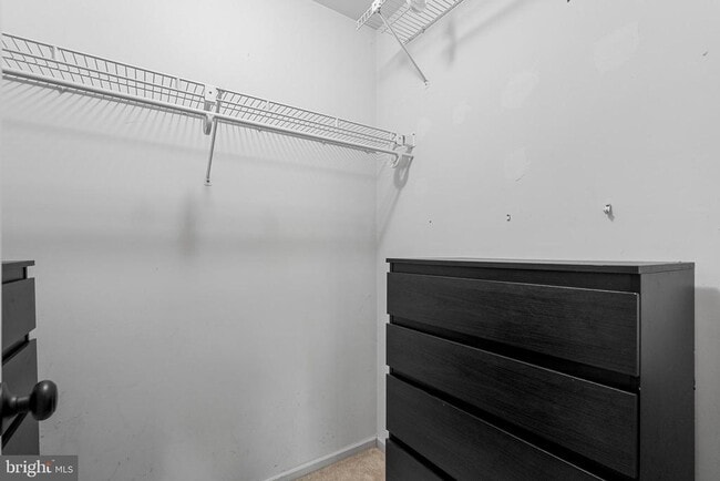 Building Photo - 1006 Morgan Ln
