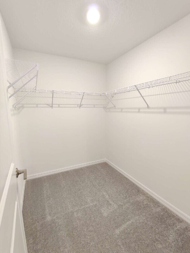 Building Photo - Spacious End-Unit Townhouse in FishHawk Ranch | Top-Rated Schools