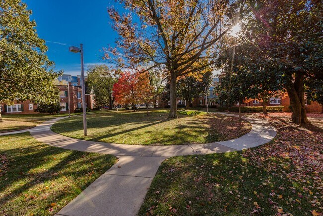 Building Photo - 1733 N Queens Ln