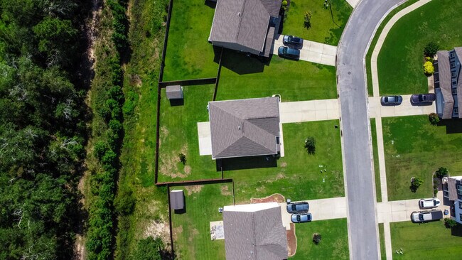 Building Photo - 3733 Moseley Dr