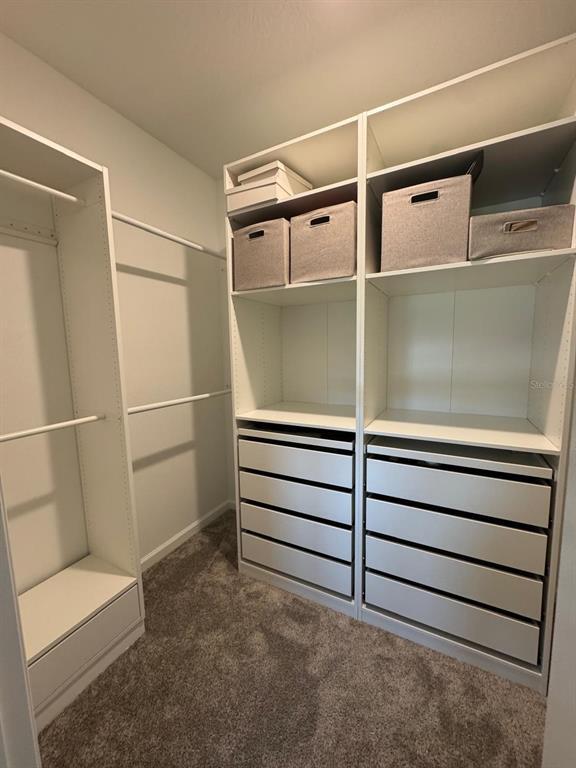 Building Photo - 3054 Chantilly Dr