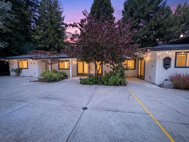 Building Photo - Gorgeous Single Level Home with Pool in Alamo Available Now!