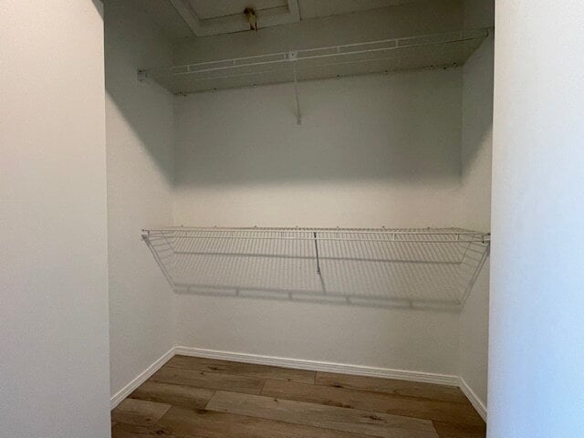 Building Photo - 3 Canova Ln