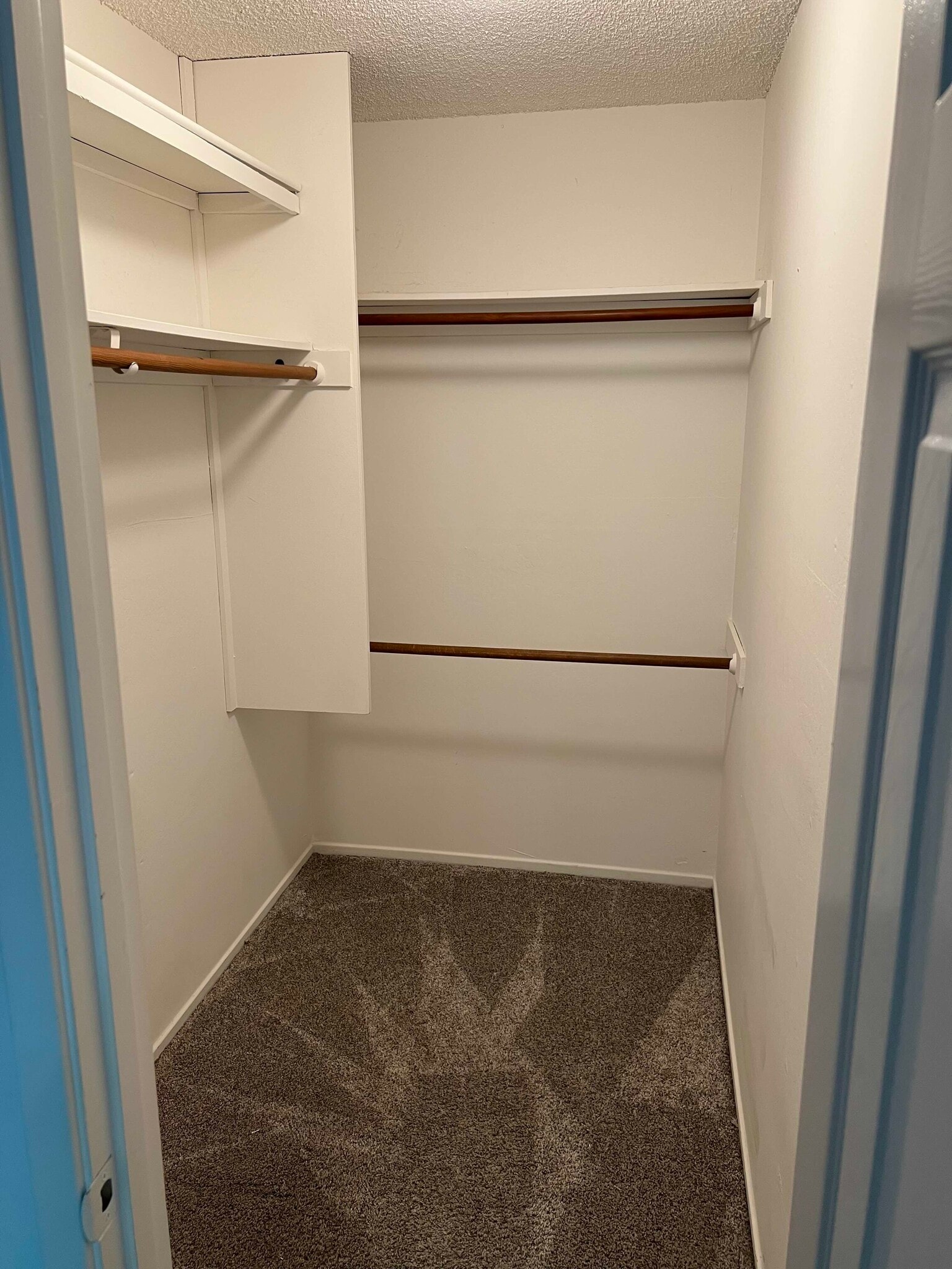 Main BR Walk-In Closet - 1493 Marchbanks Dr