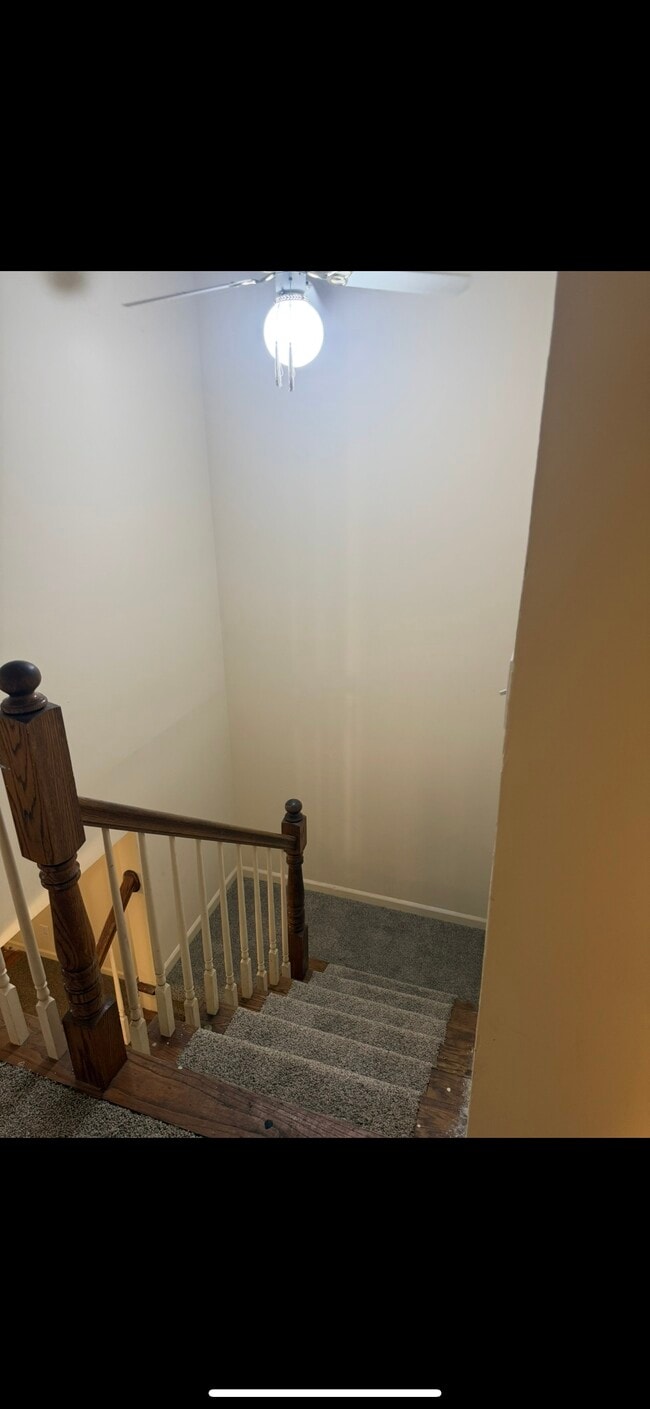 Building Photo - 1818 Stargazer Dr