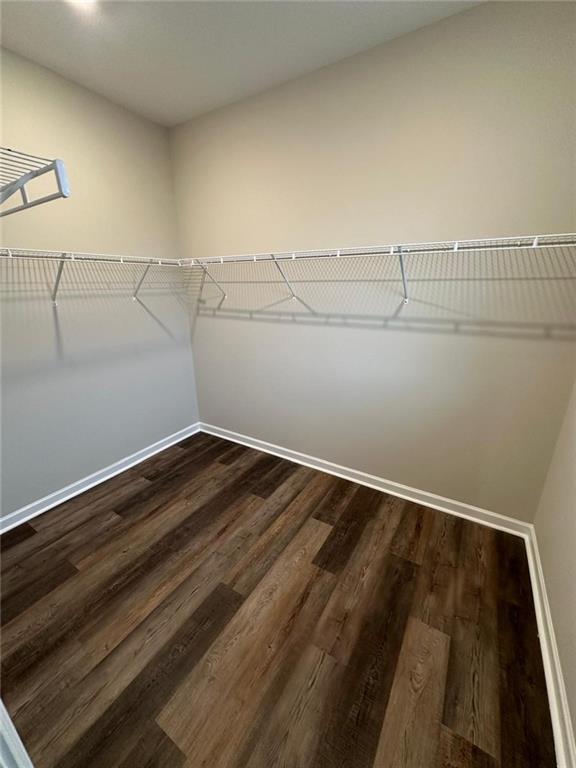 Building Photo - 4225 Essex Pond Wy