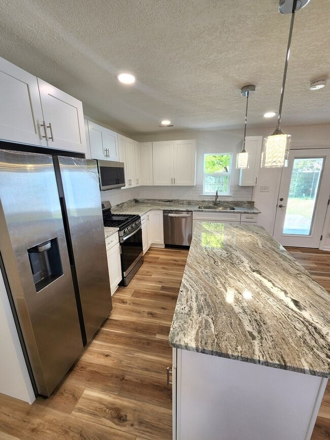 Building Photo - Completely Remodeled 4 Bedroom Ranch in Larrymore Acres