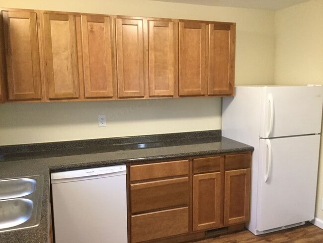 Building Photo - Two Bed House in Stockton, MO!  This house was gutted and rebuilt!  Everything is NEW!