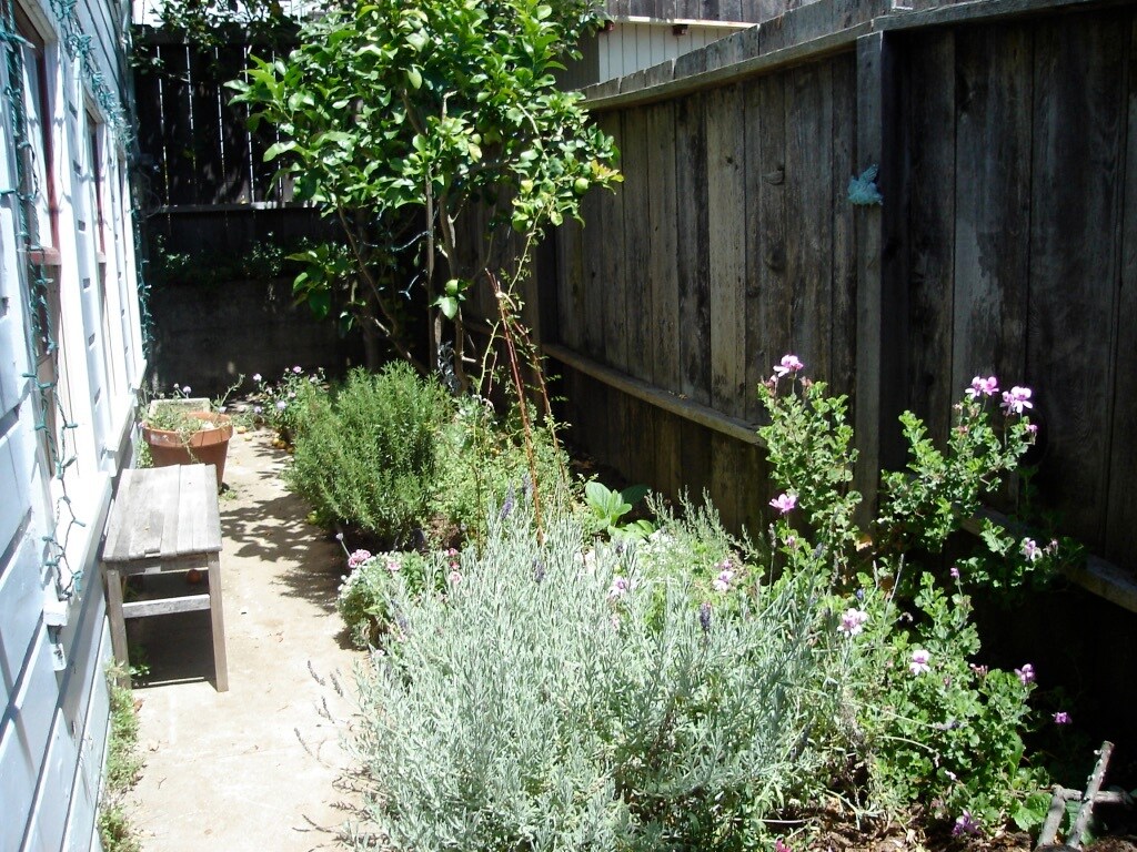 backyard - 333A Vicksburg St